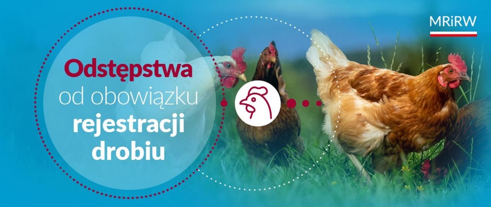 Rejestracja drobiu - odstępstwa