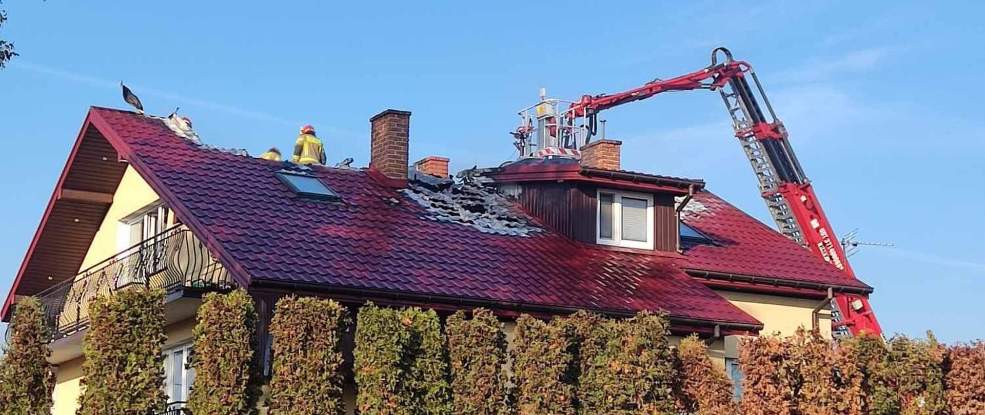 Na dachu domu jednorodzinnego stoją strażacy i dogaszają i sprzątają pozostałości po pożarze. Z prawej strony wydać rozstawiony podnośnik strażacki.