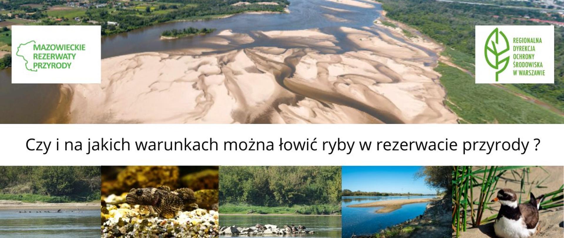 Baner, zdjęcia rzeki, ryby i ptaka oraz napis "Czy i na jakich warunkach można łowić ryby w rezerwacie przyrody?"