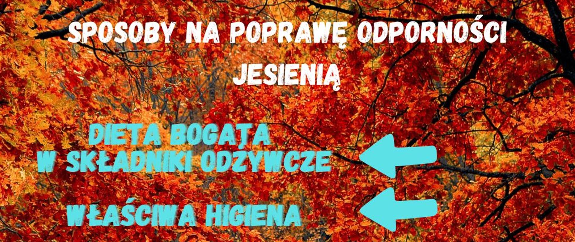 Sposoby wzmocnienia odporności jesienią