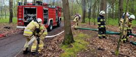 Strażacy w mundurach bojowych łączą węże w lesie. Za nimi bojowy samochód pożarniczy. Widoczna droga leśna i wysokie drzewa. W oddali inni strażacy.