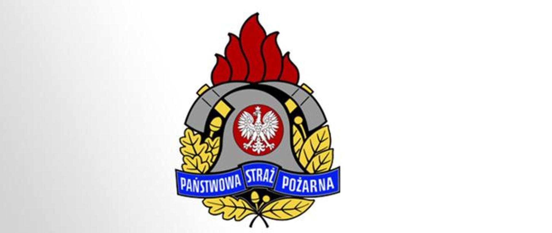 Obraz przedstawia logo PSP