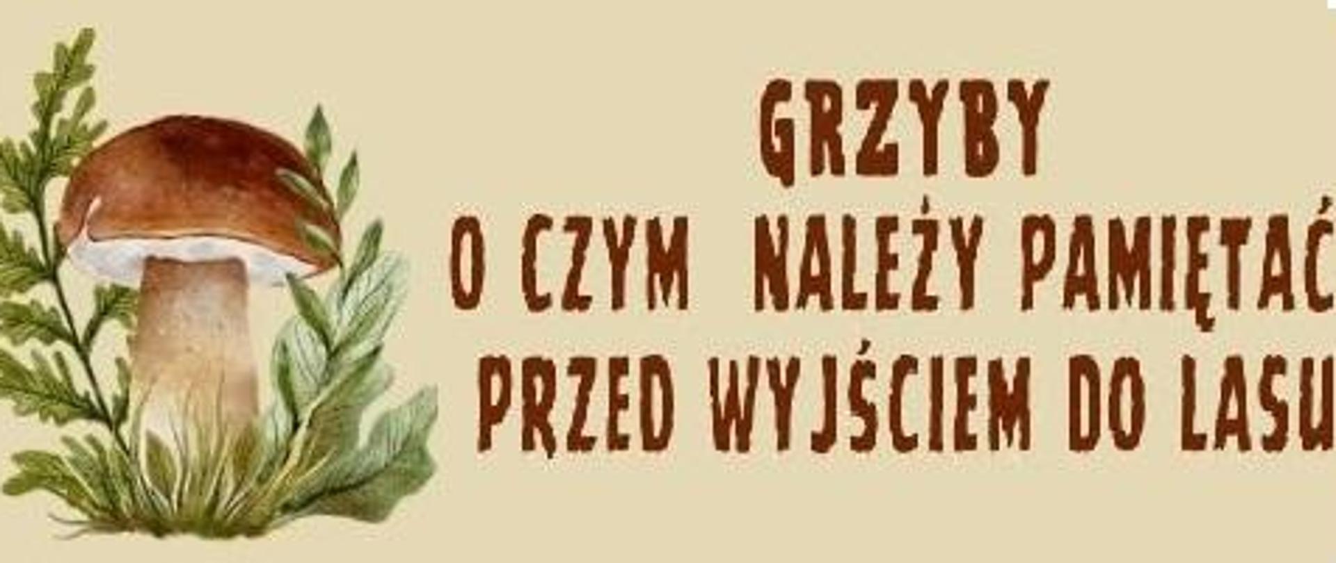 Baner grzyby