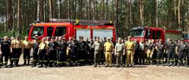 Taktyka działań ratowniczo-gaśniczych w lasach 