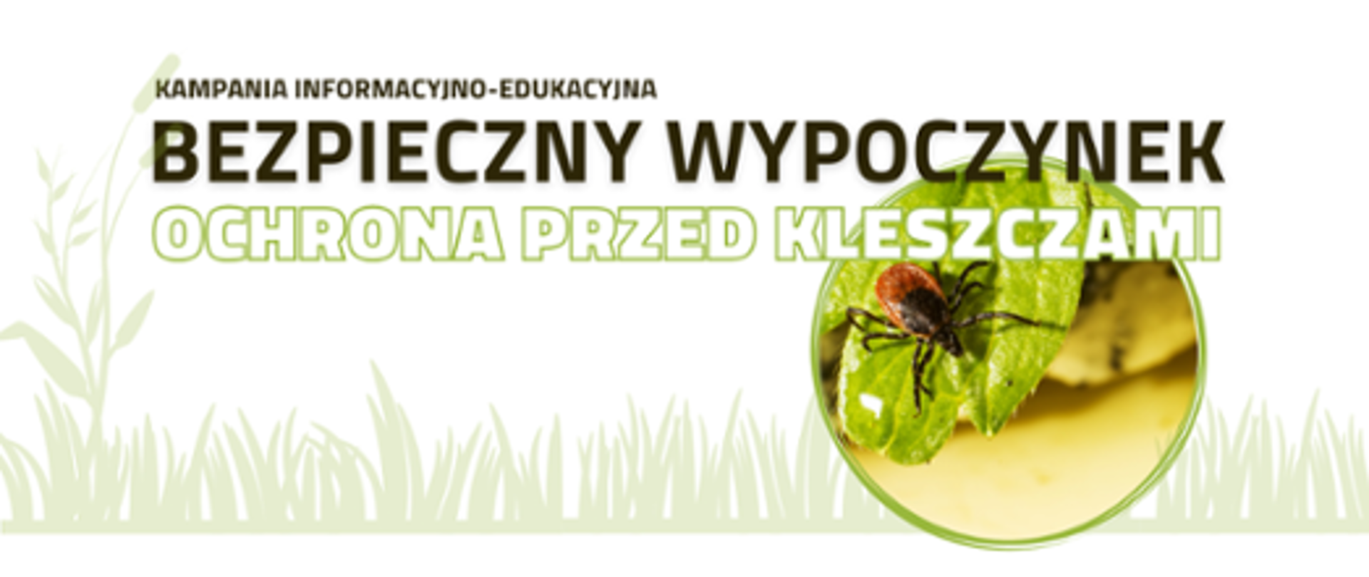 Bezpieczny wypoczynek - Ochrona przed kleszczami