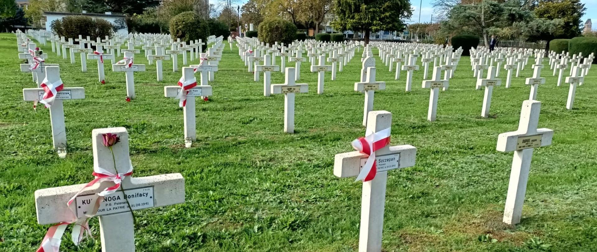 The graves of Poles.