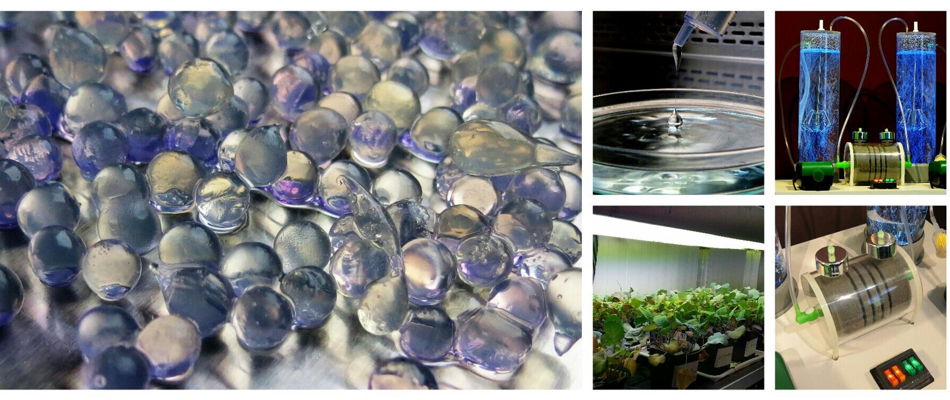 A collage of five photos showing the process in the laboratory. Finally, the preparation goes to small pots with plants