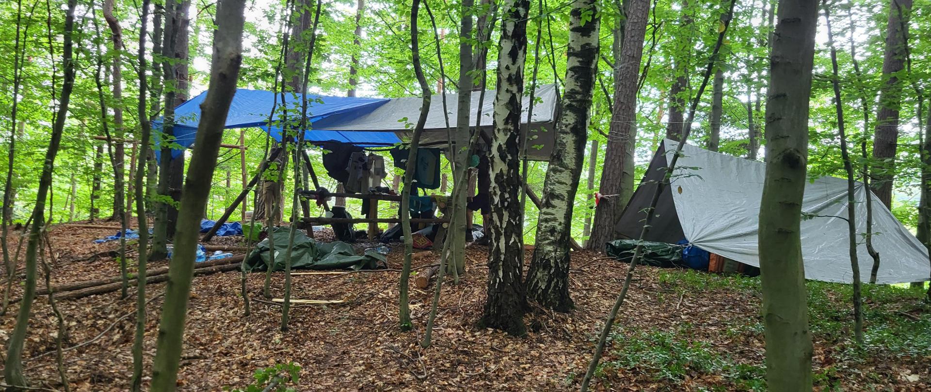 Obóz harcerski w lesie w m. Doły