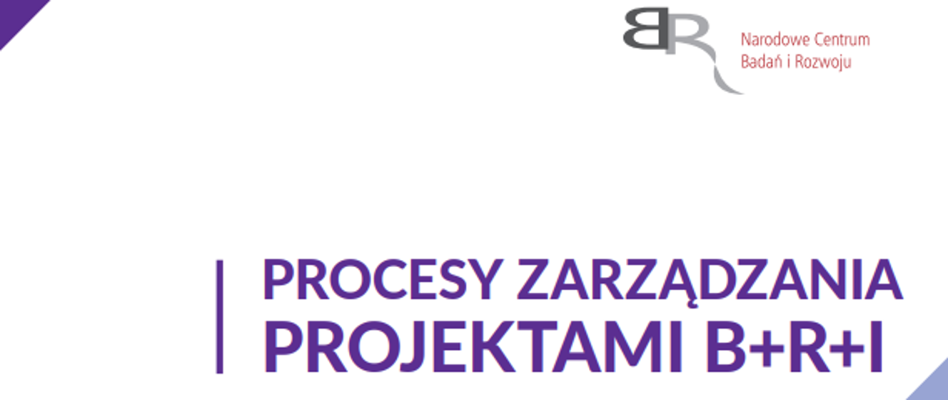 Procesy Zarządzania Projektami B+R+I - Narodowe Centrum Badań I Rozwoju ...