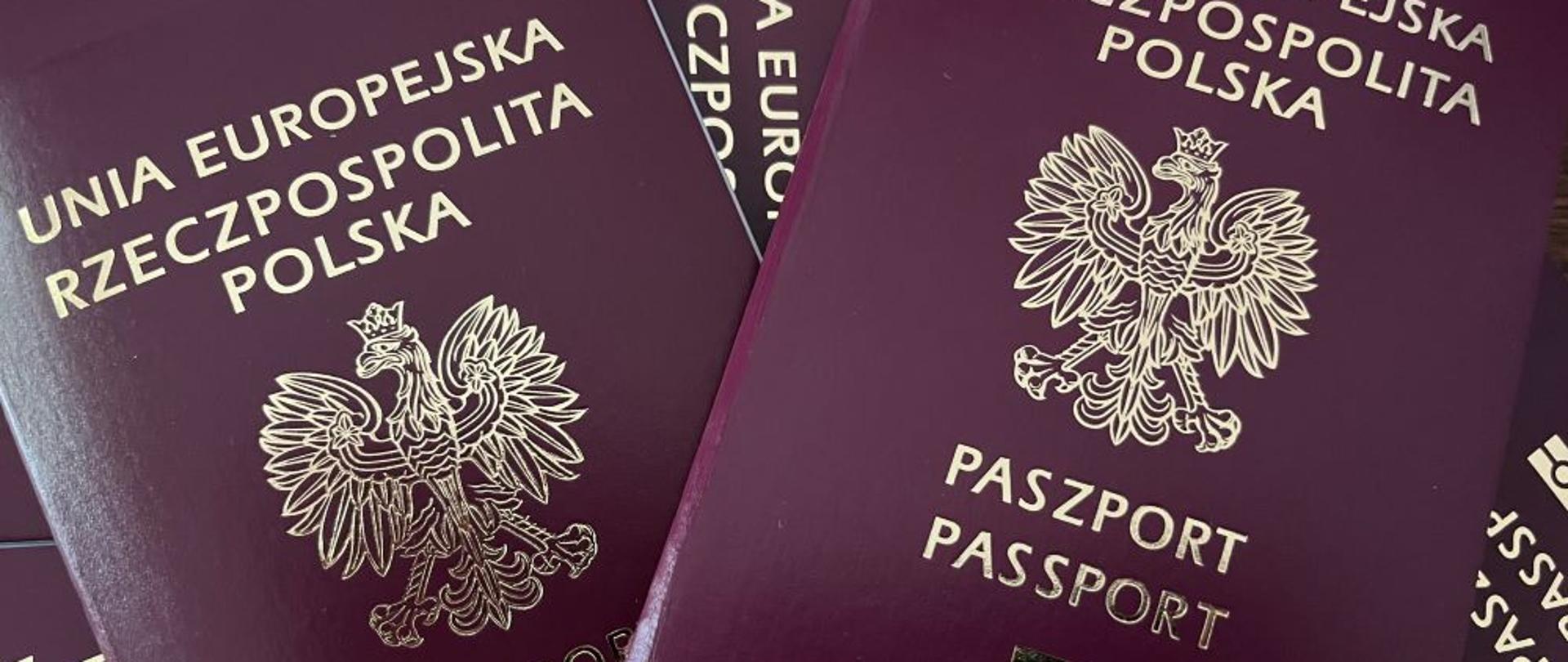 WAŻNE! Informujemy, iż Ambasada RP w Buenos Aires nie współpracuje, nie autoryzuje, ani nie ponosi odpowiedzialności za działalność pośredników oferujących odpłatne uzyskanie terminów na wizyty paszportowe w placówce. 