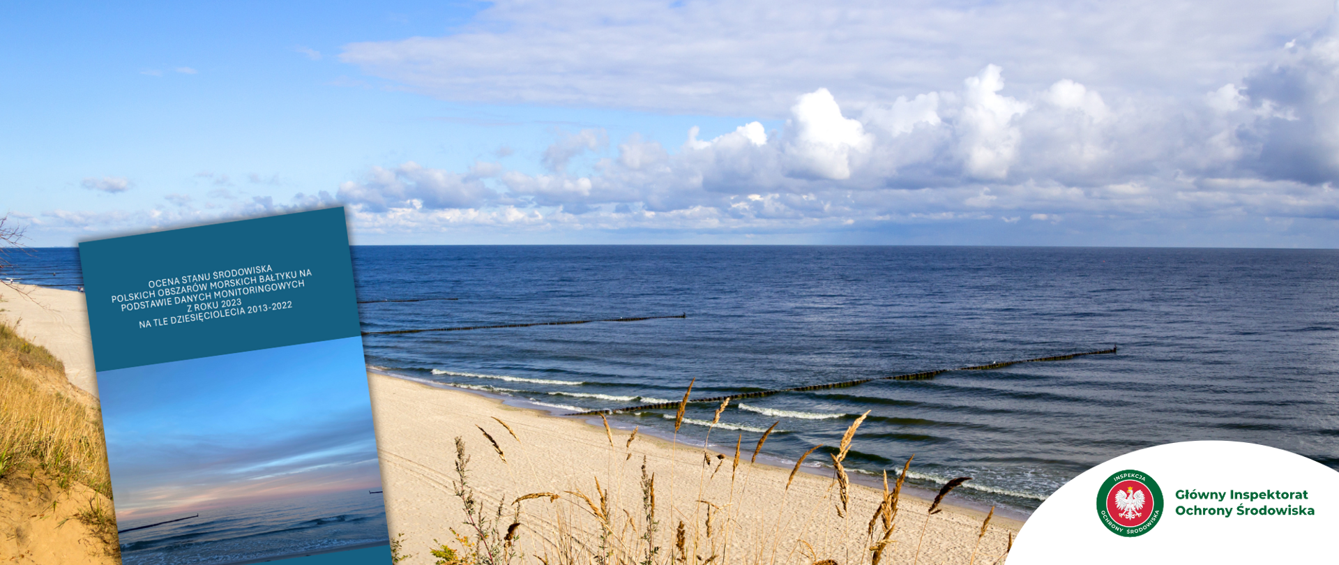 Morze, woda, plaża, roślinności