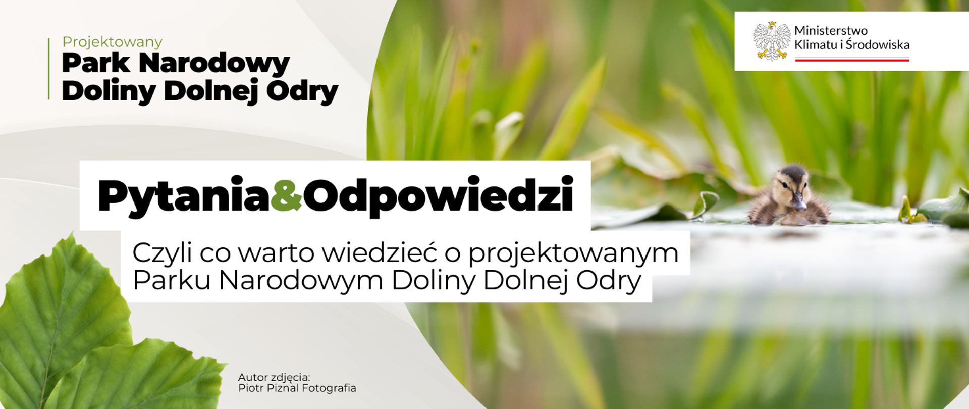 Park Narodowy Doliny Dolnej Odry - co warto wiedzieć