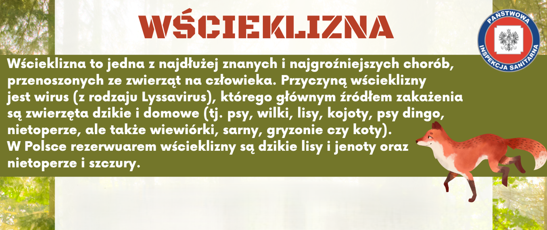 Wścieklizna 