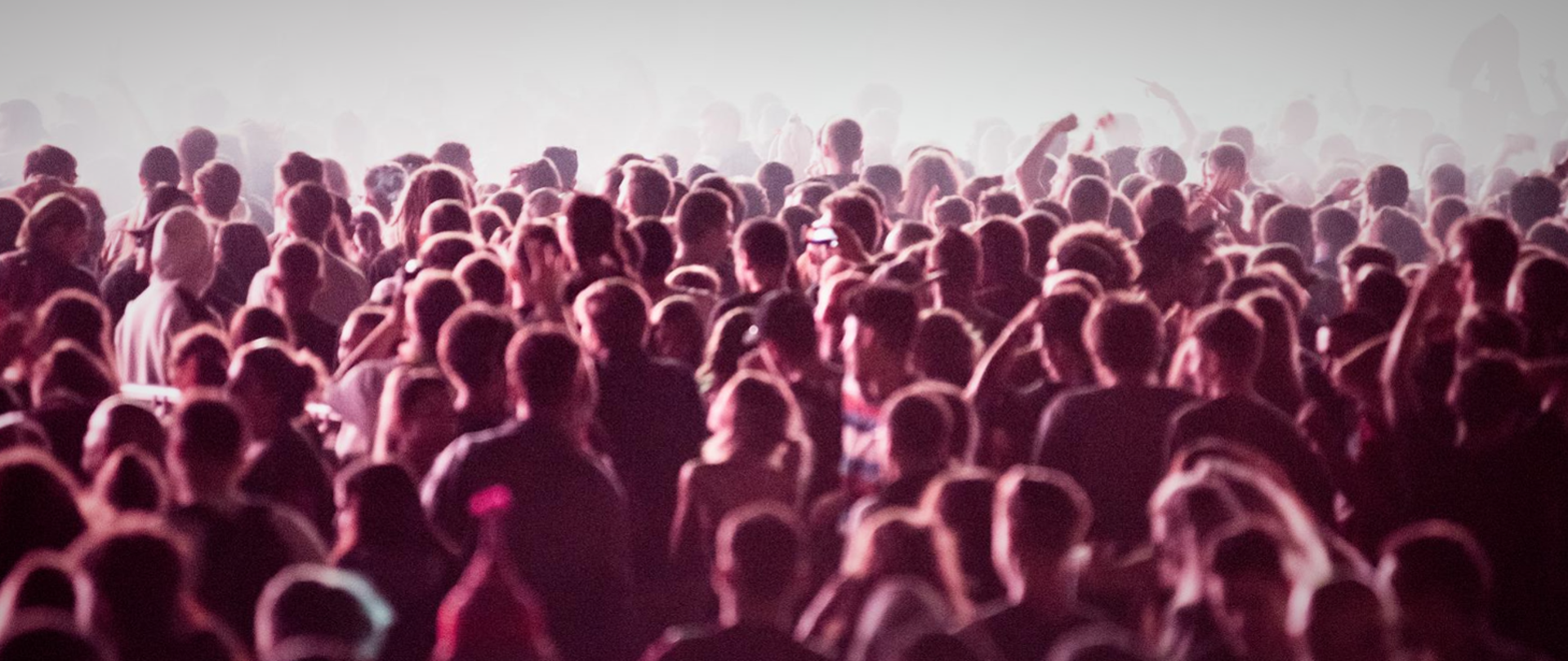 zdjęcie przedstawia tłum ludzi na koncercie