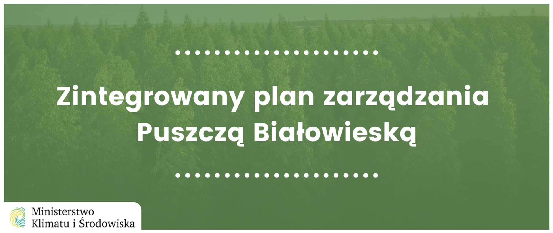 Zintegrowany plan zarządzania Puszczą Białowieską