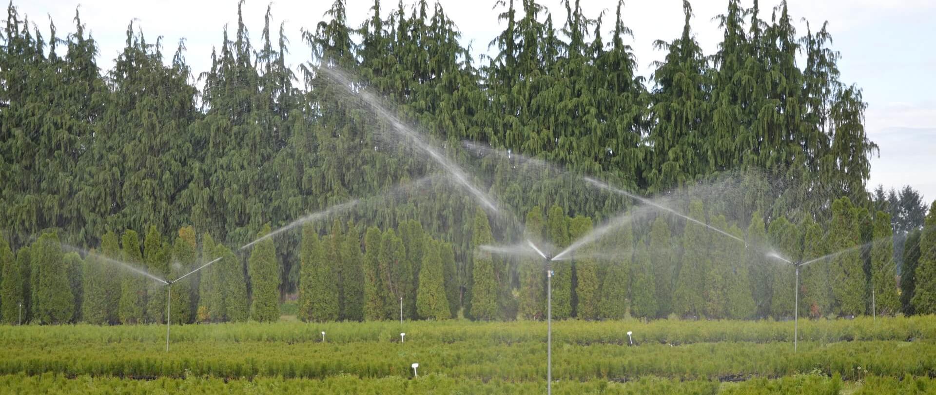 Precise plant irrigation is an extremely important element of the natural environment protection policy.