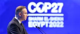 COP27_7