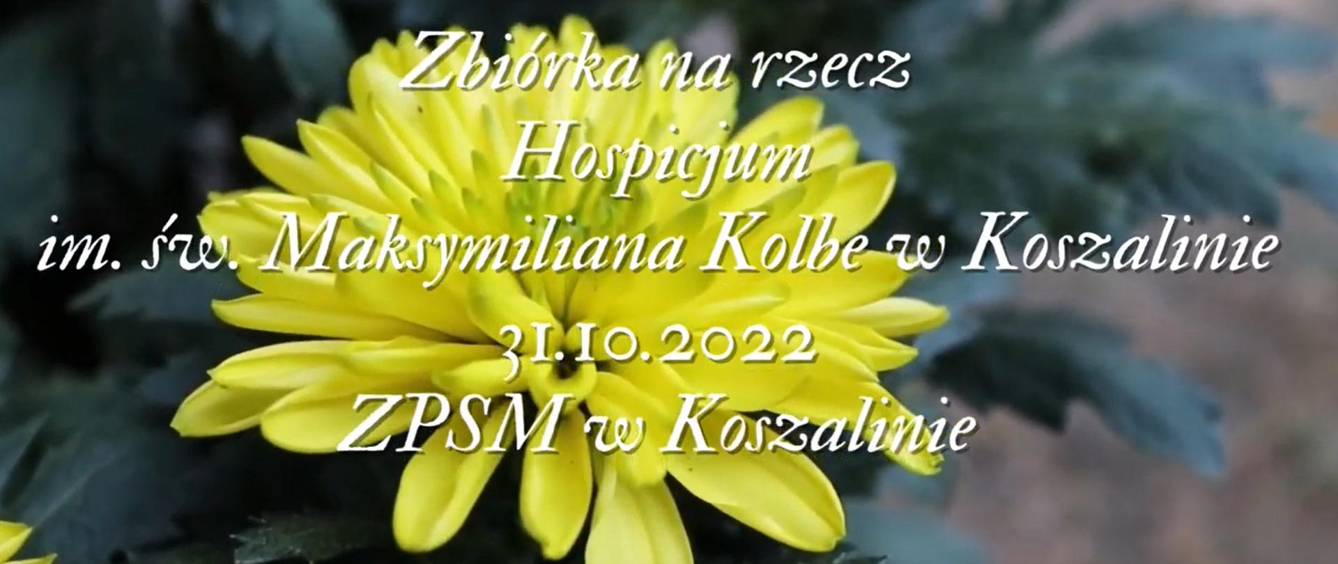 Na zdjęciu kwiat chryzantemy. żółty kolor i napis Zbiórka na rzecz Hospicjum im. św. Maksymiliana Kolbe w Koszalinie