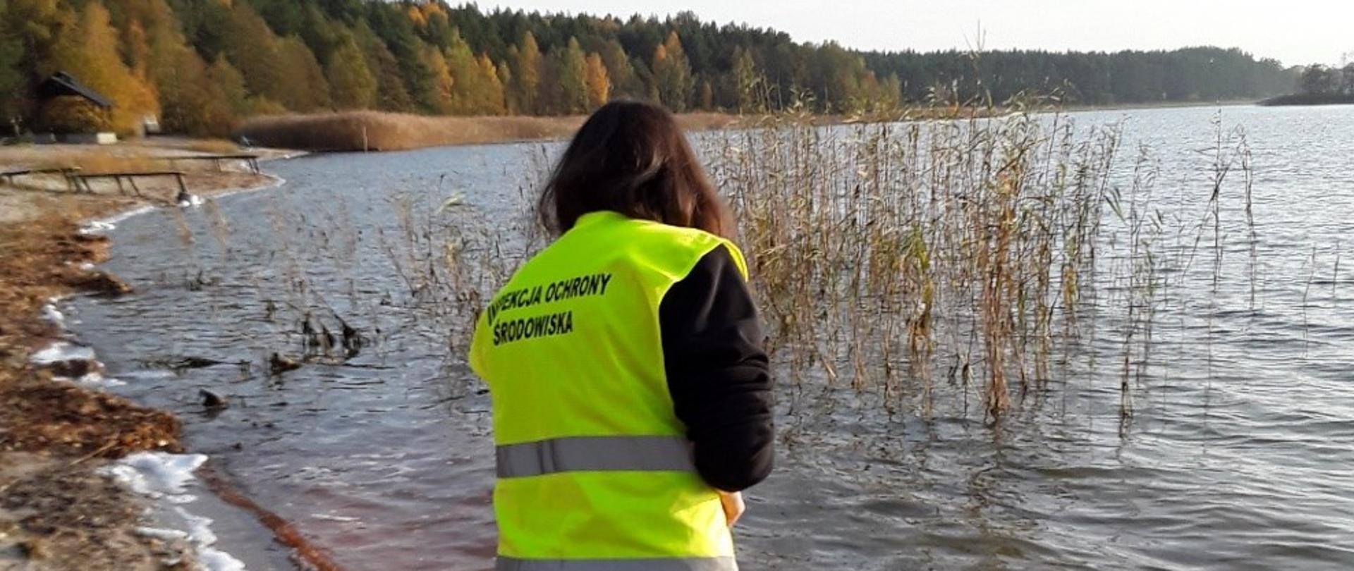 Na zdjęciu widać inspektora Wojewódzkiego Inspektoratu Ochrony Środowiska w Gdańsku w trakcie oględzin brzegu oraz poboru próbki wody.