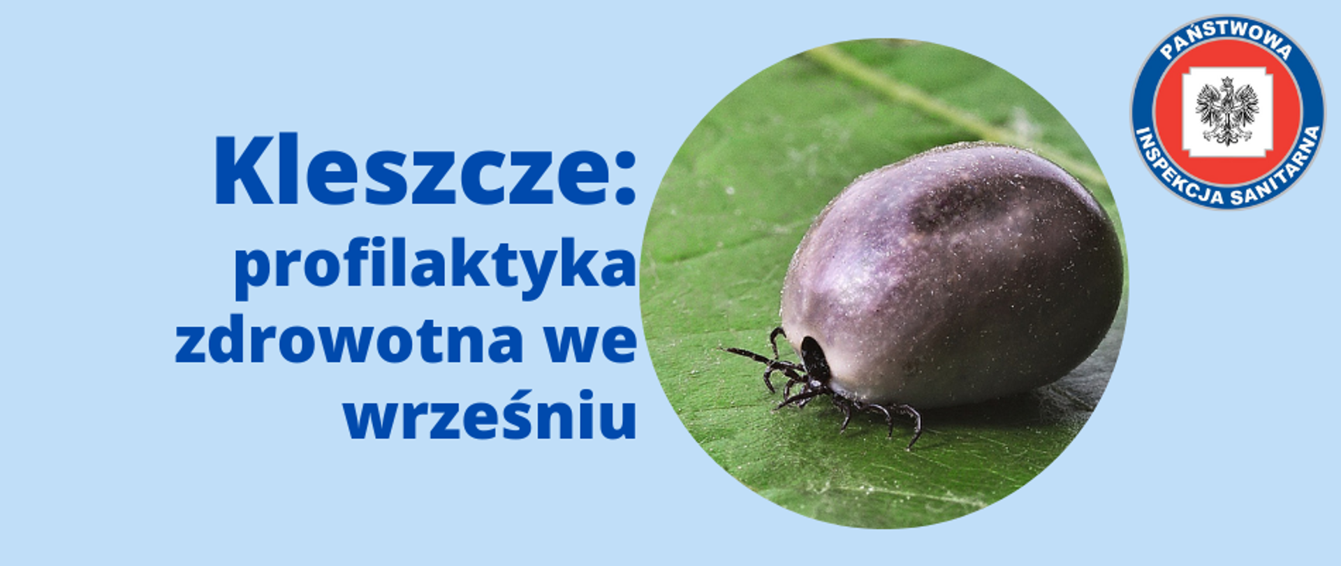 Baner przedstawiający tytuł artykułu z hasłem "Kleszcze profilaktyka zdrowotna we wrześniu". Po prawej stronie znajduje się okrągłe zdjęcie kleszcza na zielonym liściu. W prawym górnym rogu umieszczono logo Państwowej Inspekcji Sanitarnej. Całość na niebieskim tle pasującym do kolorystyki strony internetowej.