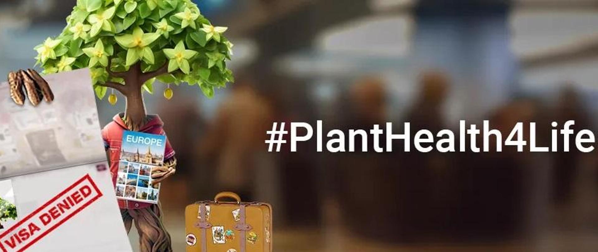 Zdrowie roślin – źródło życia 