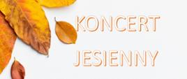 Plakat z wydarzeniem - Koncertem Jesiennym w wykonaniu sekcji instrumentów dętych, akordeonu i perkusji, który odbędzie się w ZPSM w Dębicy w dniu 27 listopada 2024r. o godz. 17:30, tło plakatu jest białe w górnym lewym rogu i dolnym prawym rogu umieszczone są liście, napisy w kolorze białym z cieniem pomarańczowym