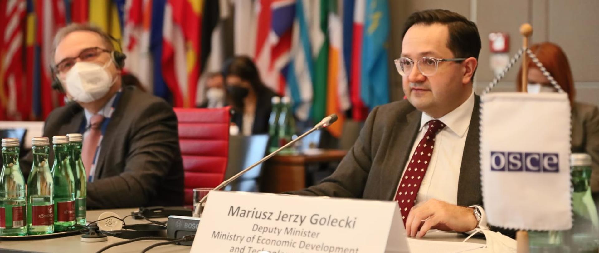 Minister Golecki in OSCE