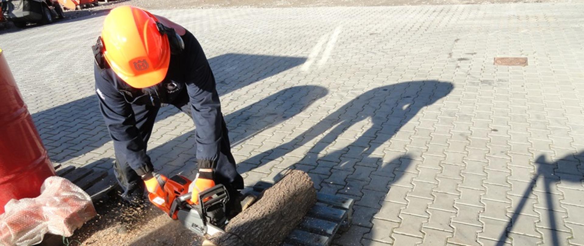 Mężczyzna (pilarz) ubrany w kask, rękawice oraz specjalny strój roboczy udziela instruktażu jak prawidłowo i bezpiecznie posługiwać się pilarką podczas cięcia drewna. 