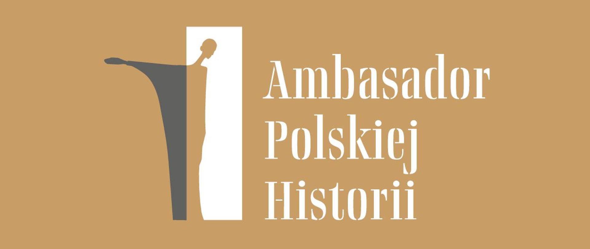 Ambasador Polskiej Historii