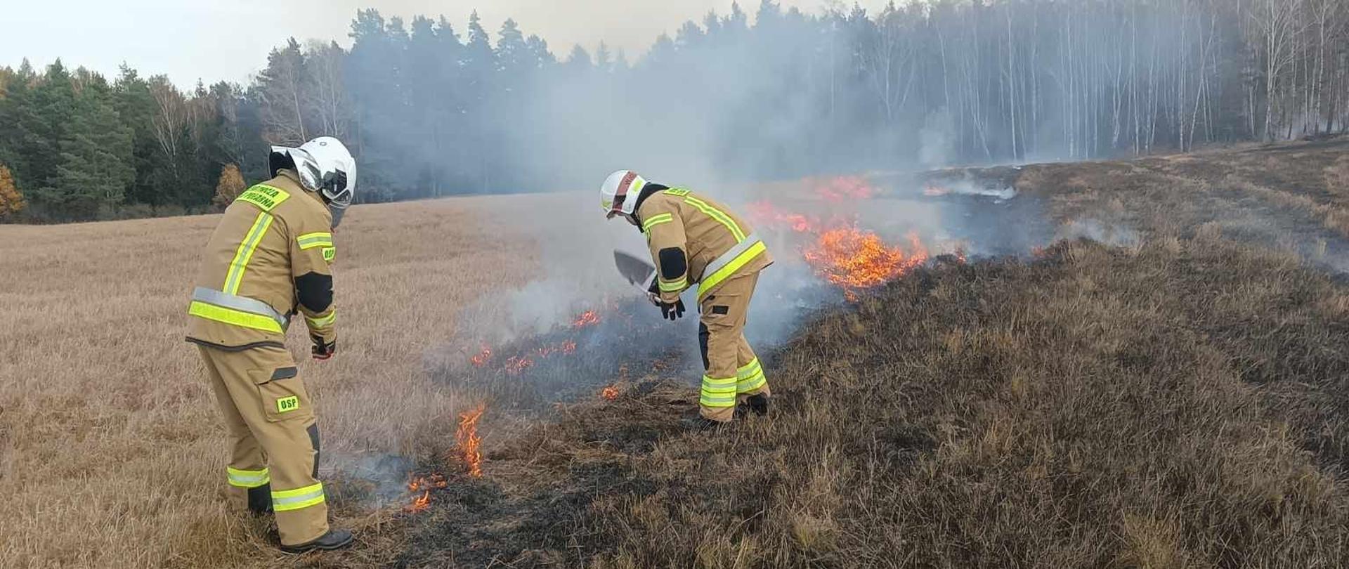 Trwa pożar suchych traw. Strażacy tłumicami gaszą pożar, widać płomienie i dym. W oddali las.