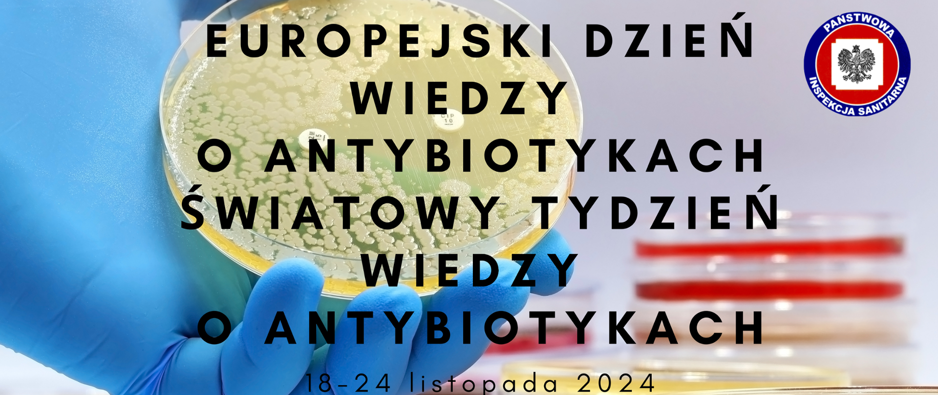 Światowy Tydzień Wiedzy o Antybiotykach 