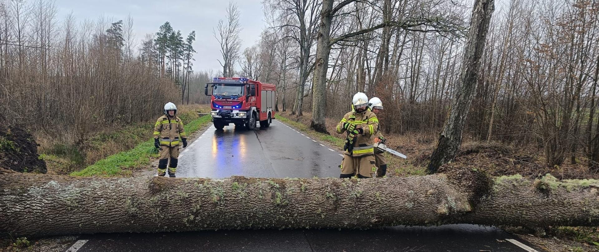 W poprzek drogi leży drzewo. przy nim strażacy. W oddali samochód strażacki.