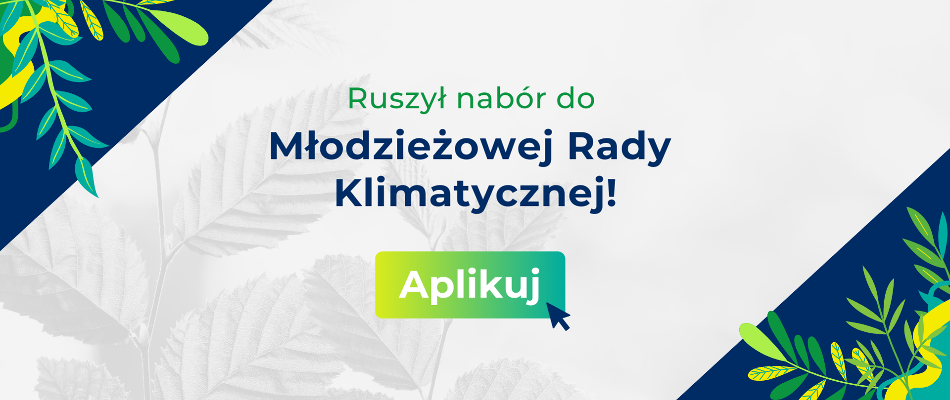 Ruszył nabór do Młodzieżowej Rady Klimatycznej