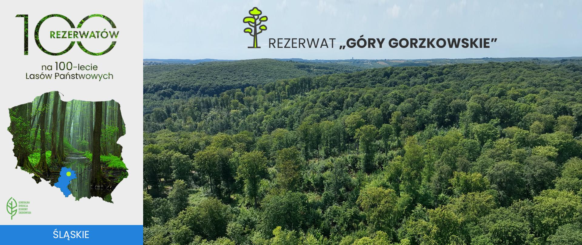 Na horyzoncie jest las, który porasta Rezerwat Góry Gorzkowskie.