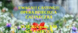 Plakat informujący o castingu do opery dziecięcej "Calineczka"