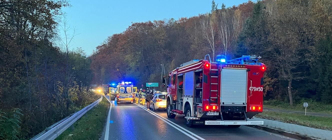 Wypadek ze skutkiem śmiertelnym na Drodze Wojewódzkiej 956 w Sułkowicach - Komenda Powiatowa Państwowej Straży Pożarnej w Myślenicach - Portal Gov.pl