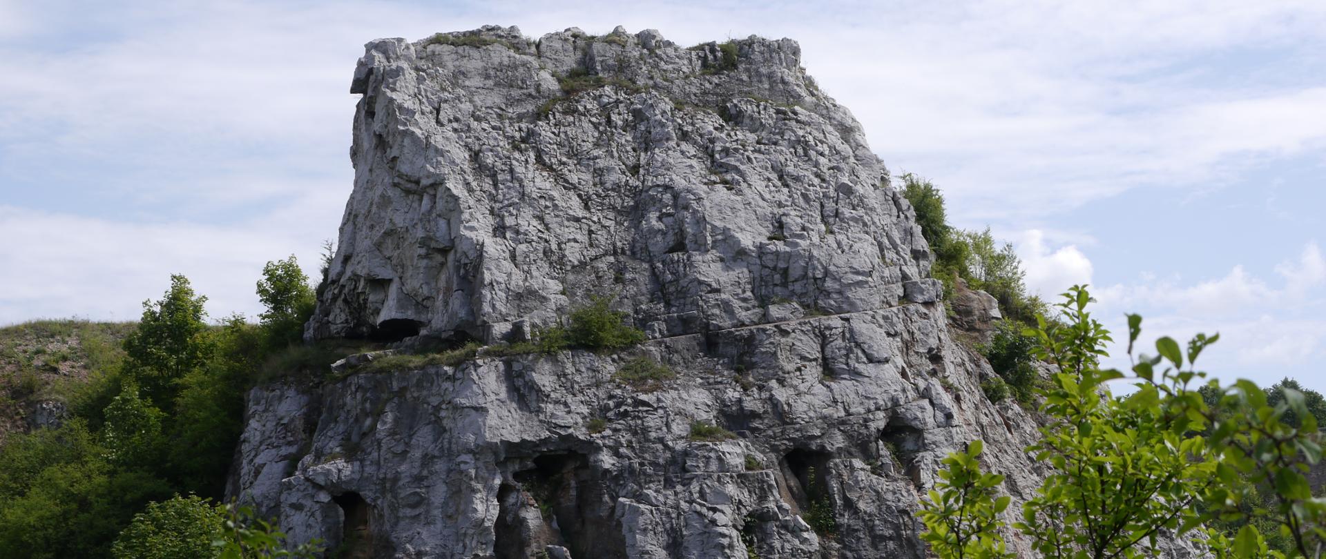 Skałka Geologów stanowiąca rezerwat Kadzielnia