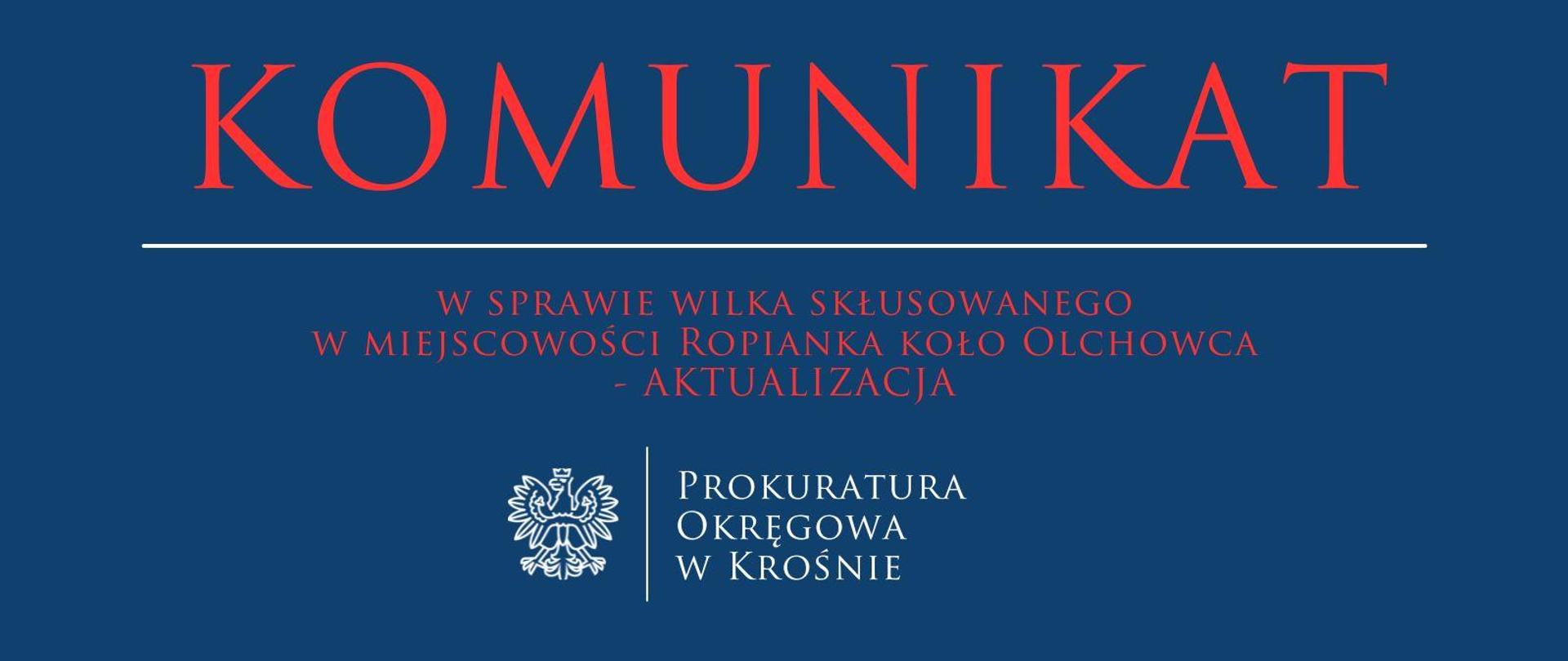 Komunikat prasowy w sprawie wilka skłusowanego w miejscowości Ropianka koło Olchowca -AKTUALIZACJA