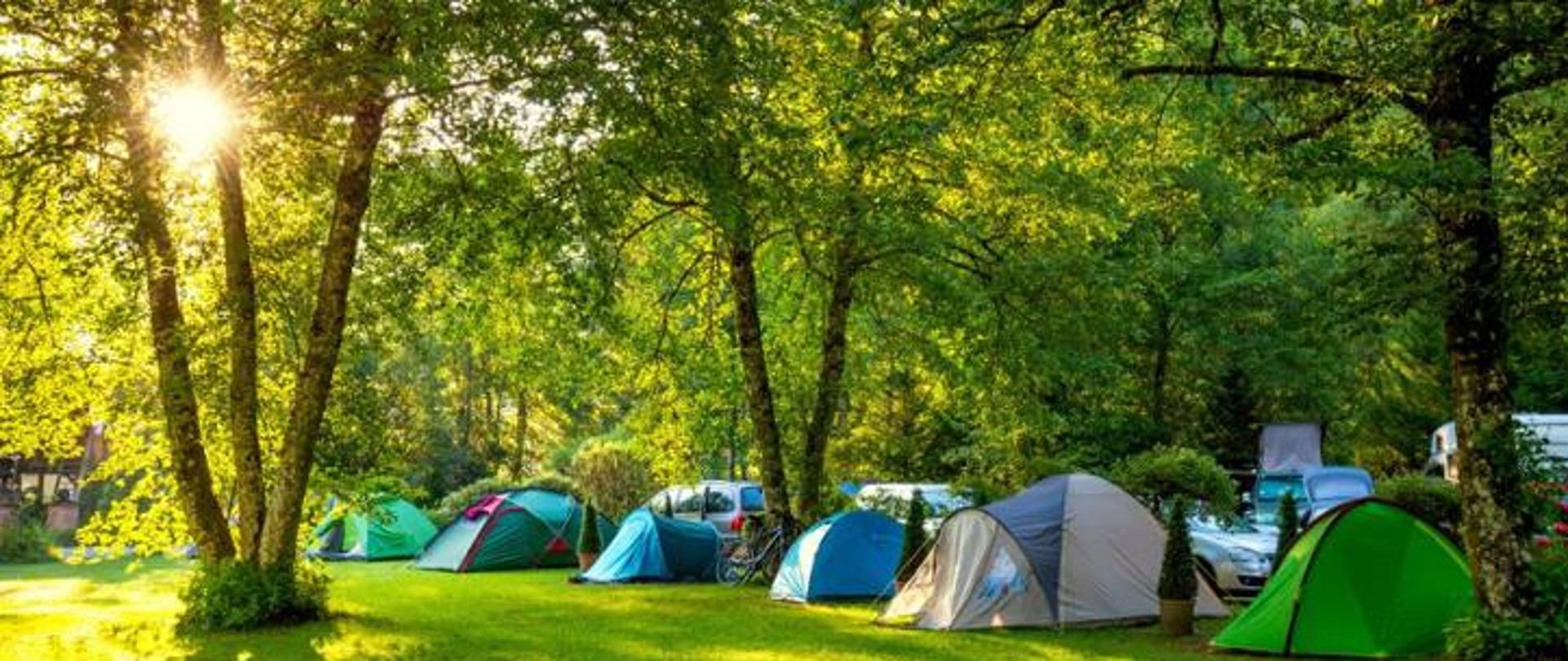 Pole namiotowe wśród drzew i zieleni z rozbitymi namiotami