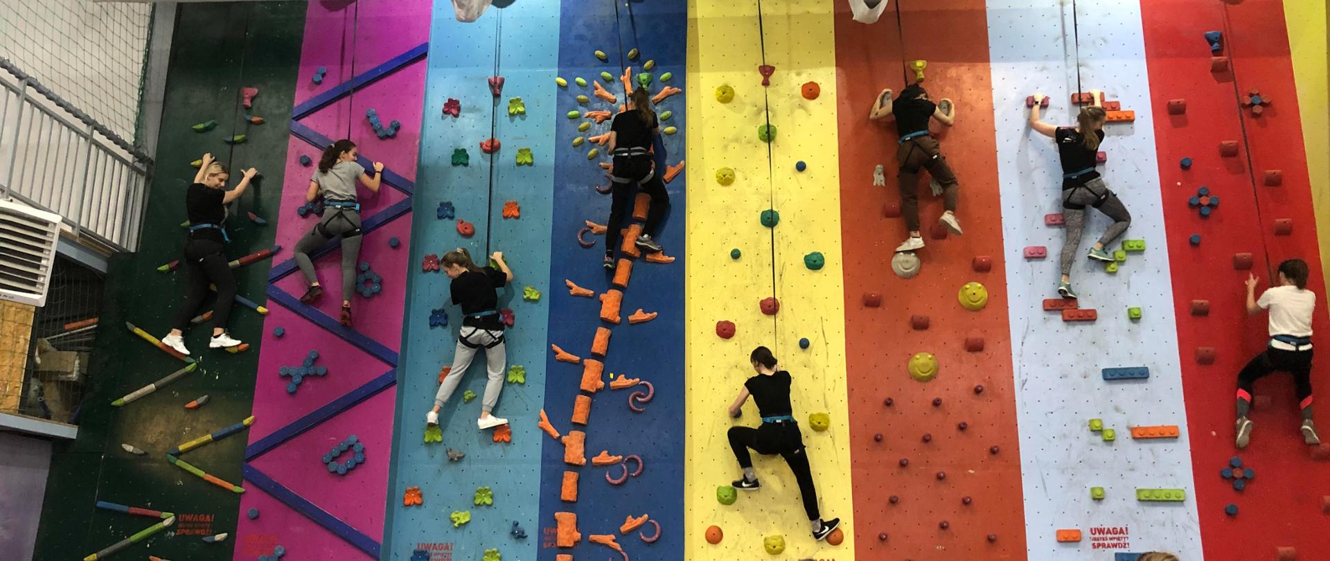 Photo of a climbing wall: Activities run by climbing wall operator