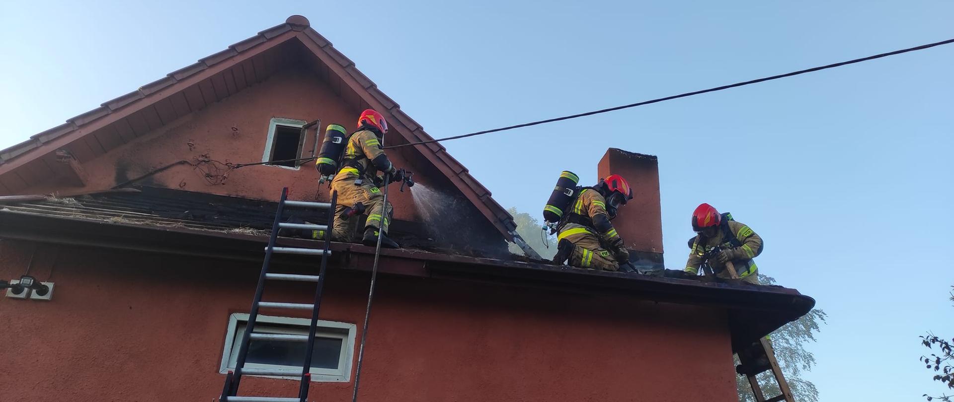 Trzech strażaków na dachu budynku, gaszą pożar. Przy budynku ustawione dwie drabiny.