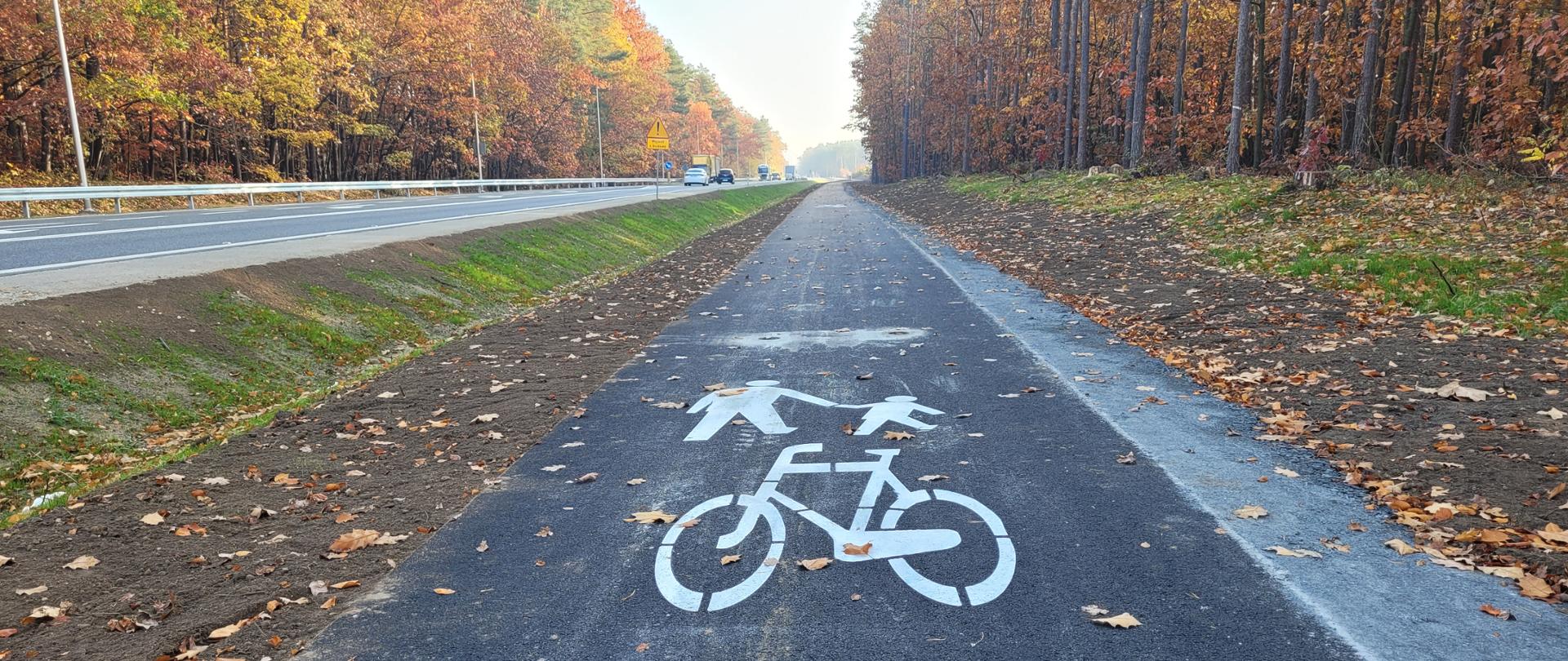 Budowa ciągu pieszo-rowerowego na odc. Dębska Kuźnia - Schodnia w ciągu DK46