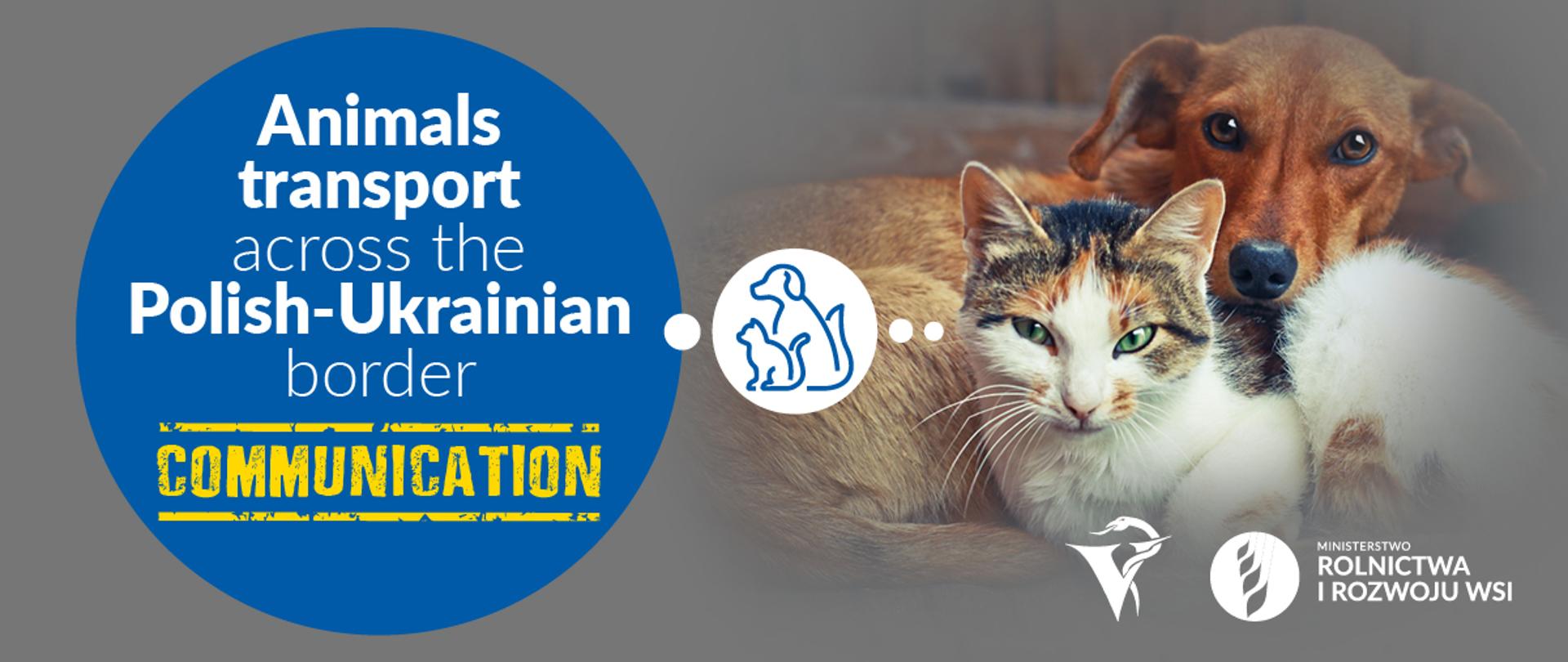 Assistance in transporting animals from Ukraine to Poland