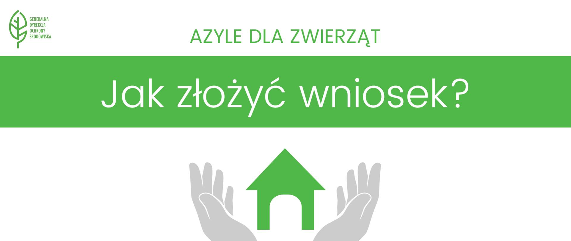 Jak założyć azyl dla zwierząt. 