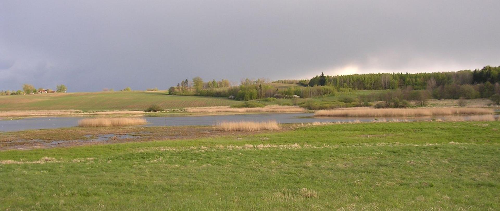 Widok na rezerwat przyrody Kwiecewo. Widoczne rozlewisko wraz z roślinnością wodną - trzcinowiskiem. W oddali pagórki łąkowe, las i pojedyncze zadrzewienia.