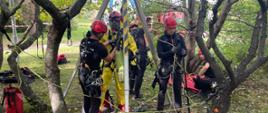 Ćwiczenia zgrywające specjalistycznych grup ratownictwa wysokościowego w Świdnicy