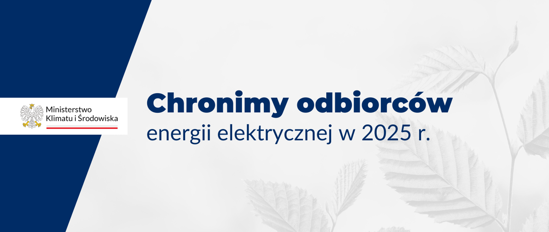 Chronimy odbiorców energii elektrycznej w 2025 r.