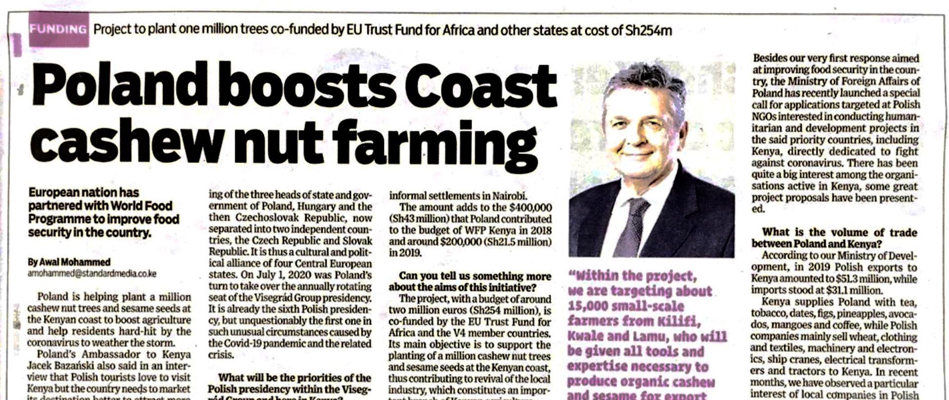 Poland Boosts Coast Cashew Nut Farming Interview Of The Ambassador For Kenyan Newspaper The Standard Poland In Kenya Gov Pl Website