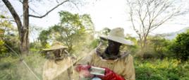 rozwój pszczelarstwa w Udzungwa