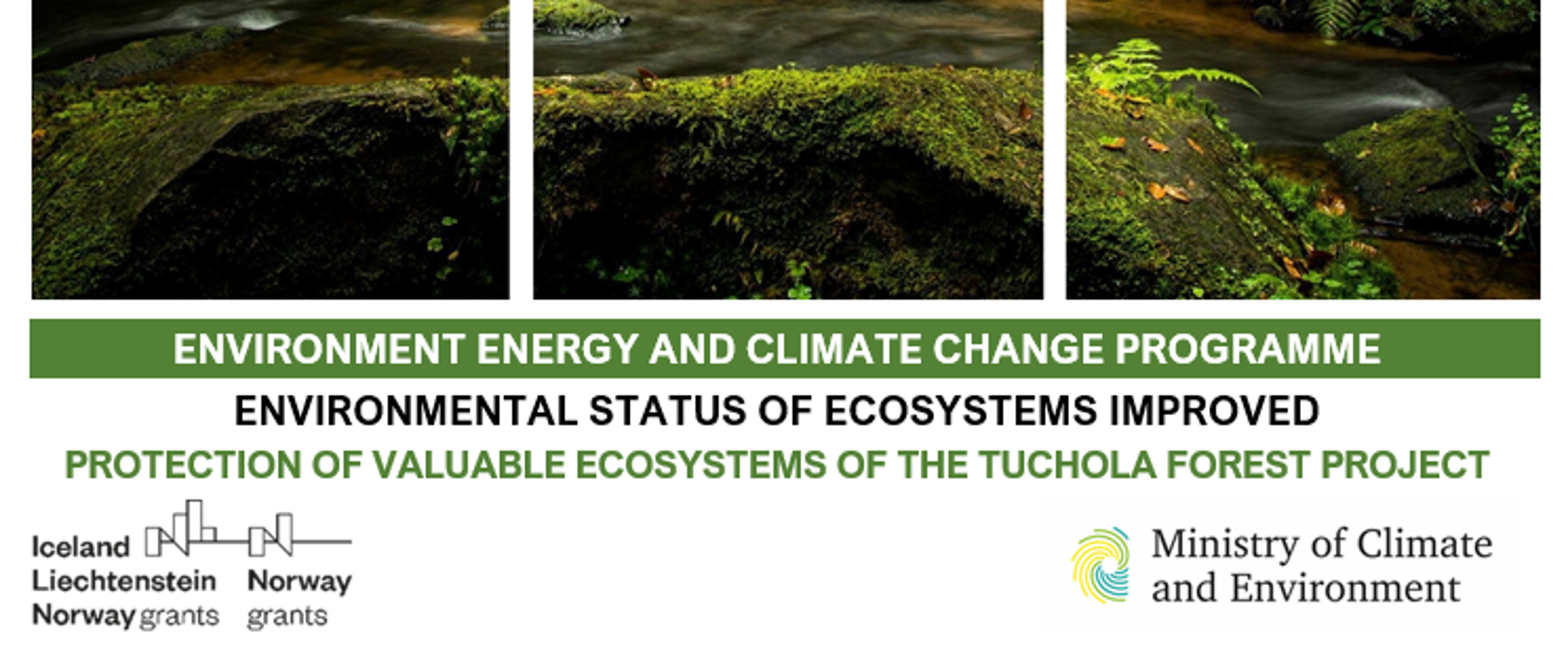 “Protection of valuable ecosystems of the Tuchola Forest” project